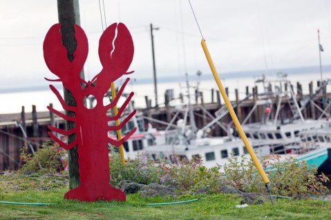 There's Nothing Better Than This Mouthwatering Lobster Trail In Massachusetts