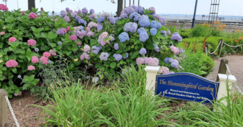 The Serene Hummingbird Garden In New Jersey That's Too Beautiful For Words