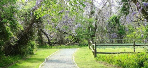 There's A Hike In Virginia That Leads You Straight To A WWII Cannon