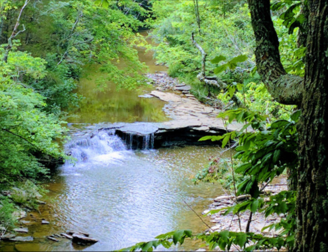 The Natural Swimming Hole Near Cincinnati That Will Take You Back To The Good Old Days