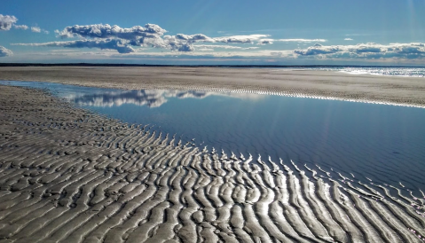 The Underrated Sandy Beach In Massachusetts You Absolutely Need To Visit