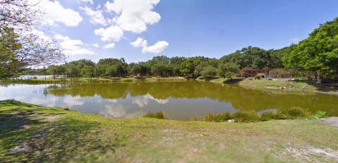 The One-Of-A-Kind Park In Florida Where You Can See Wild Cats Up Close