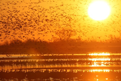 The Underrated Natural Wonder Every Kansan Should See At Least Once