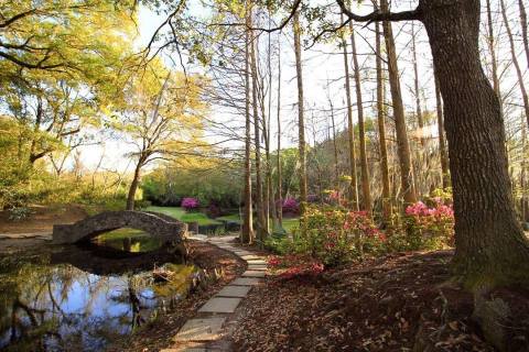 Take A One-Day Road Trip To Any Of These 5 Fantastic Louisiana Destinations