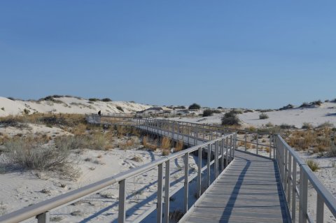 This Beautiful Boardwalk Trail In New Mexico Is The Most Unique Hike Around