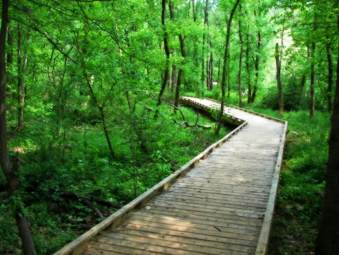 This South Carolina Park Has Endless Boardwalks And You'll Want To Explore Them All