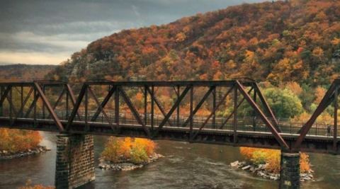 Experience The Best Of The Fall Colors This Year With This Amazing Glass Dome Train