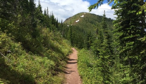 These 7 Montana Trails Are Ripe For Berry-Picking