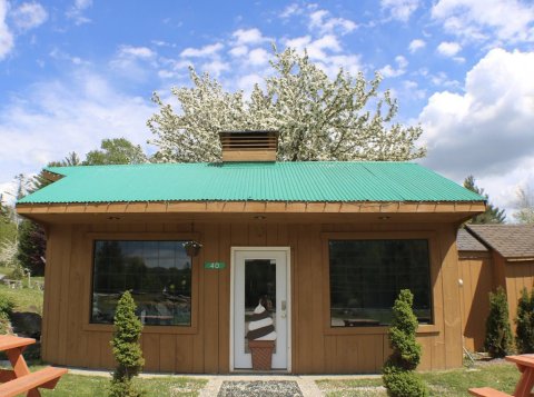 The Alice In Wonderland Themed Shop In Vermont Where The Ice Cream Is Pure Magic