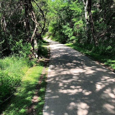 8 Easy Hikes Around Austin You’ll Want To Knock Off Your Summer Bucket List