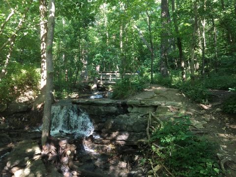 Your Kids Will Love This Easy 1-Mile Waterfall Hike Right Here In Missouri