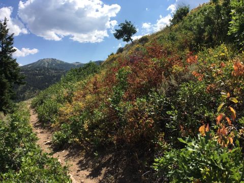 There's A Hike In Utah That Leads You Straight To An Abandoned Mine