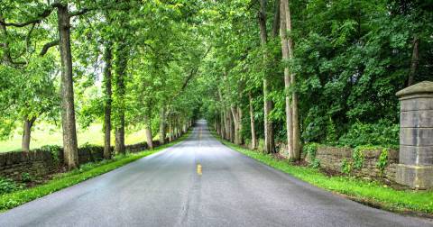 The Scenic Kentucky Back Road You Simply Must Drive This Summer