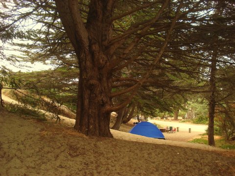 This Dreamy Beach Campground In Northern California Belongs On Your Bucket List