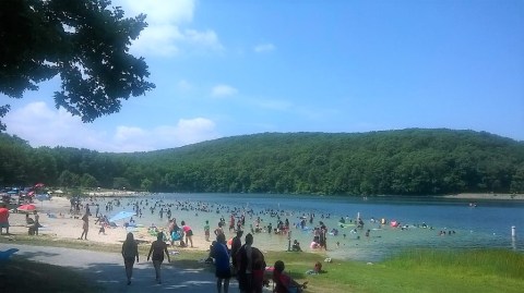 The Clearest Lake In Maryland Is Almost Too Beautiful To Be Real