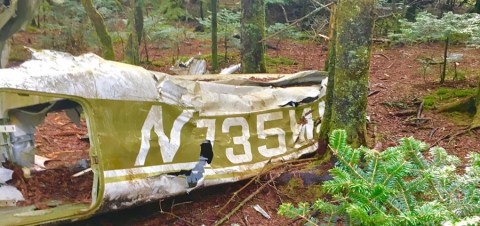 The Unique Hike In North Carolina That Leads You To Plane Wreckage From 1978