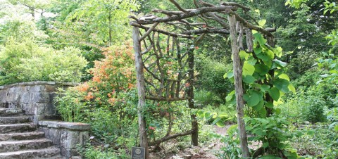 Most People Overlook This Dreamy North Carolina Mountain Garden