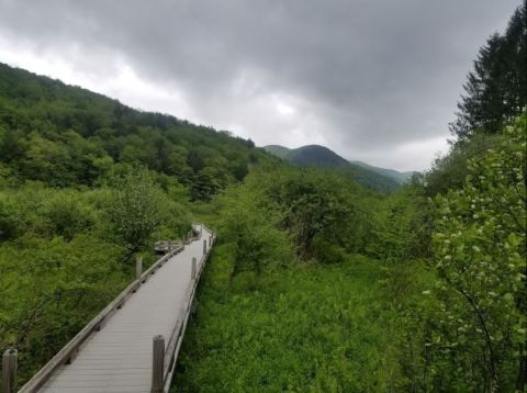 This Beautiful Boardwalk Trail In Vermont Is The Most Unique Hike Around