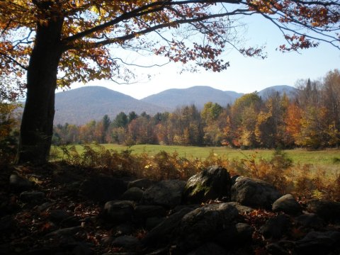 Wandering The Trails At This Fairy Tale Forest In Vermont Is Like Something From A Dream