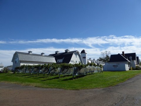 This Winery In Virginia Used To Be A WWII Listening Post And It's Chock Full Of History