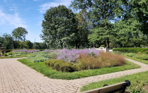 Get Lost In A Field Of Color At This Enchanting Wildflower Meadow In New Jersey