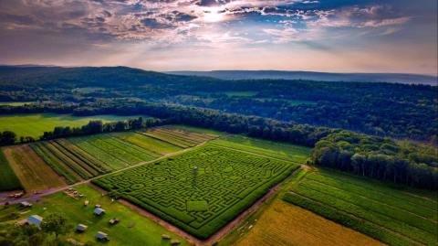 Get Lost In This Awesome 11-Acre Corn Maze In Pennsylvania This Autumn