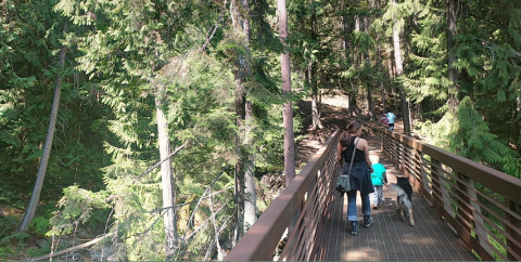 The Magnificent Bridge Trail In Idaho That Will Lead You To A Hidden Waterfall