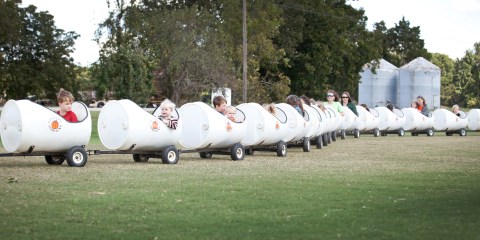 The Pumpkin Patch Train Ride In Mississippi That's Perfect For A Fall Day