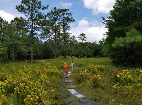 Not Many People Know That A Deadly Garden Is Hiding Right Here In North Carolina