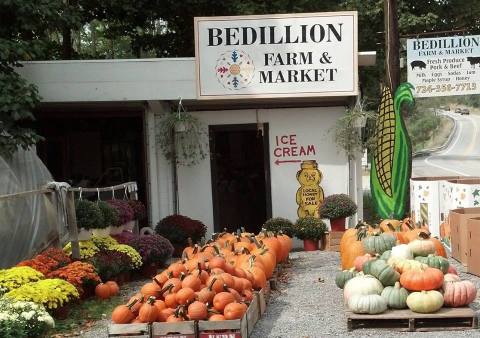 Head To This Unique Honey Farm In Pennsylvania For A Bee-autiful Adventure