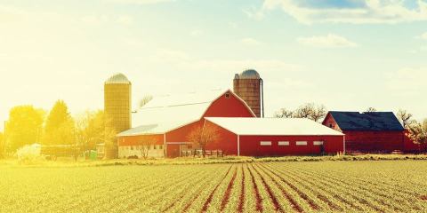 The World’s Freshest Jams Are Tucked Away Inside This Hidden Pennsylvania Farm Market