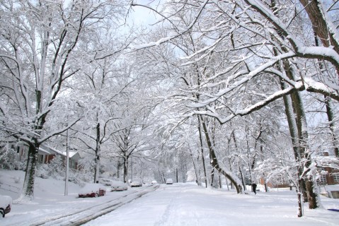 You’ll Be Pleased To Hear That Maryland's Upcoming Winter Is Supposed To Be More Mild Than Last Year’s