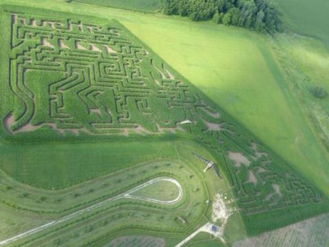 Get Lost In This Awesome 12-Acre Corn Maze In Minnesota This Autumn