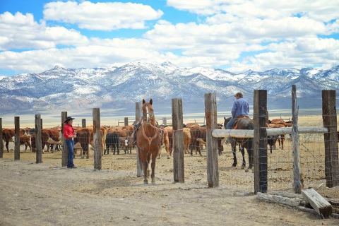 The One-Of-A-Kind Campground In Nevada That You Must Visit Before Summer Ends