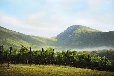 The One Enchanting Winery In Georgia Where The Views Are As Delicious As The Vino