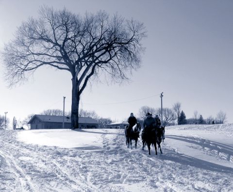 You'll Be Pleased To Hear That North Dakota's Upcoming Winter Is Supposed To Be Milder Than Last Year