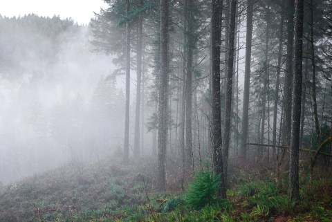 You'll Be Pleased To Hear That Oregon's Upcoming Winter Will Be Warmer Than Normal