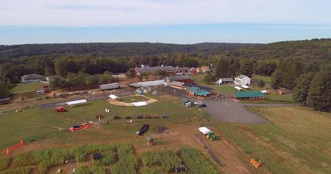 This Ice Creamery And Petting Zoo Is A Connecticut Dream Come True