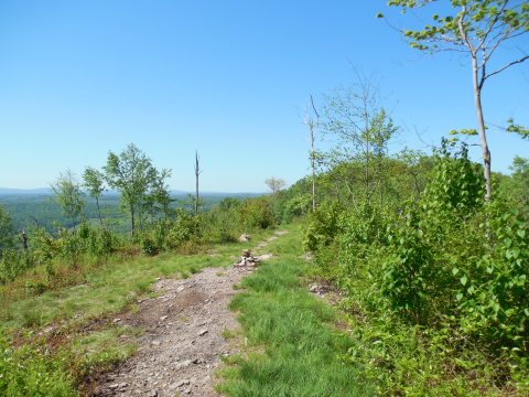 Take An Unforgettable Hike To The Top Of Maryland's Highest Mountain