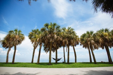 You'll Be Pleased To Hear That Florida's Upcoming Winter Is Supposed To Be Warmer And Drier Than Ever