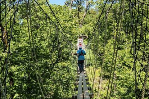 The One Walk Above The Trees In Arkansas That’s Beautiful Any Time Of Year