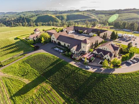 One Of The Largest Organic Vineyards In The Whole Wide World Is Right Here In Oregon