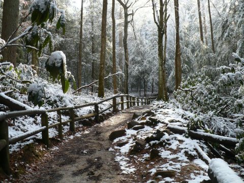 You'll Be Pleased To Hear That Kentucky's Upcoming Winter Is Supposed To Be More Mild Than Last Year's