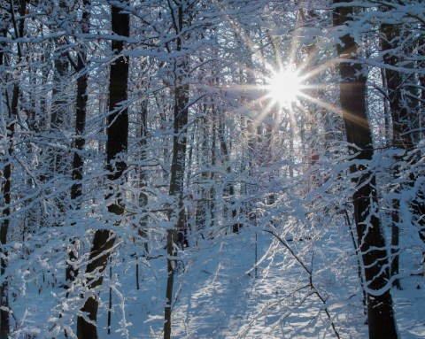 You'll Be Pleased To Hear That Pennsylvania's Upcoming Winter Is Supposed To Be Warm (But Wet)