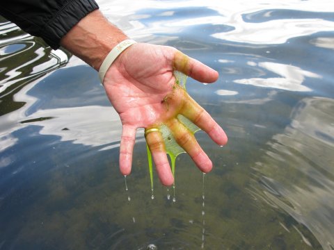 A Public Health Warning Has Been Issued For This One Connecticut Lake