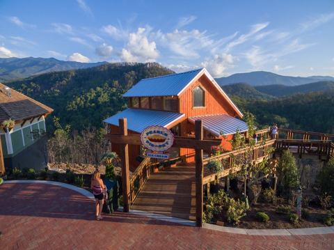 The Treetop Amusement Park Near Cincinnati That's So Worthy Of A Road Trip