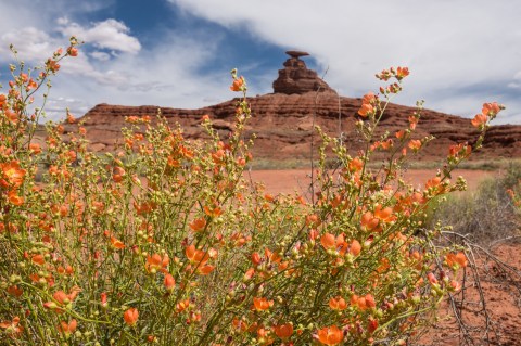 This Utah Getaway Might Be In The Middle Of Nowhere, But It's Well Worth A Visit