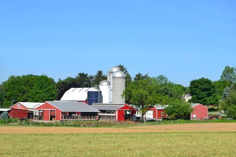 A Trip To This Incredible Ice Cream Farm In Pennsylvania Will Delight You In Every Way