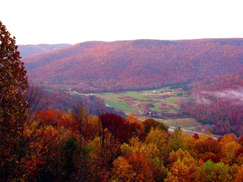 You'll Be Happy To Hear That Tennessee's Fall Foliage Is Expected To Be Bright And Bold This Year