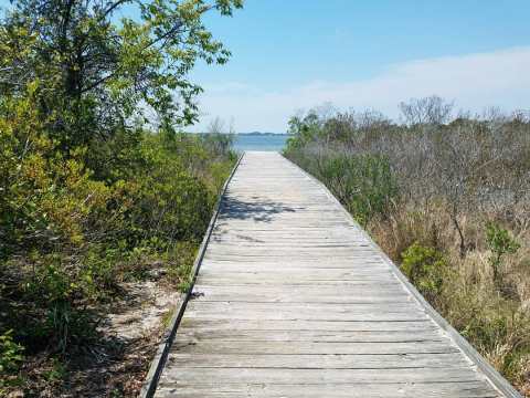 This Maryland Park Has Endless Boardwalks And You'll Want To Explore Them All